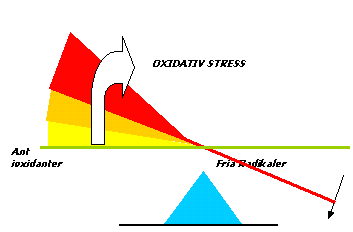 Antioxidativ stress